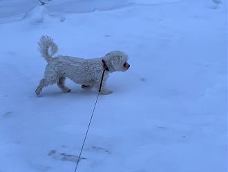 Klicke auf die Grafik für eine vergrößerte Ansicht

Name: D50BFC83-9AA1-47CB-8F7D-C9AF944B54C1.jpeg
Ansichten: 417
Größe: 80,6 KB
ID: 431164