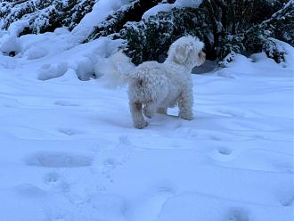 Klicke auf die Grafik für eine vergrößerte Ansicht

Name: 1E1CBA83-DC4E-4CBC-B451-4E74D8FDAE4E.jpeg
Ansichten: 404
Größe: 164,4 KB
ID: 431165