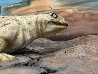 Klicke auf die Grafik für eine vergrößerte Ansicht

Name: 3A9BD97C-37C4-4006-A2BD-890FA8AEE3C3.jpeg
Ansichten: 335
Größe: 256,2 KB
ID: 435081