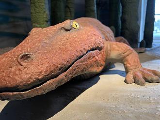 Klicke auf die Grafik für eine vergrößerte Ansicht

Name: AB3F7318-8B6C-42DC-AEED-3E925601FAD4.jpeg
Ansichten: 355
Größe: 202,2 KB
ID: 435082