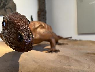 Klicke auf die Grafik für eine vergrößerte Ansicht

Name: 514F6049-2A52-4BFC-9A58-BDEABB3CD436.jpeg
Ansichten: 348
Größe: 134,5 KB
ID: 435085