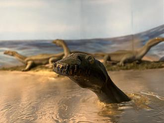 Klicke auf die Grafik für eine vergrößerte Ansicht

Name: 5961616B-53B5-481A-B09E-3479FC69E7C1.jpeg
Ansichten: 351
Größe: 125,5 KB
ID: 435086