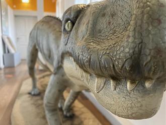 Klicke auf die Grafik für eine vergrößerte Ansicht

Name: 64835EBC-59E4-4E65-A802-93BDAD1EC3A2.jpeg
Ansichten: 352
Größe: 153,8 KB
ID: 435087