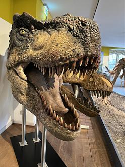 Klicke auf die Grafik für eine vergrößerte Ansicht

Name: 6B1351A6-C244-4D29-8369-2B08F4065F13.jpeg
Ansichten: 355
Größe: 344,6 KB
ID: 435088