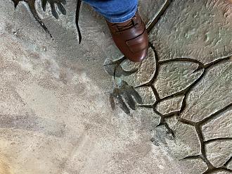 Klicke auf die Grafik für eine vergrößerte Ansicht

Name: 62DF66B8-B1B7-423F-85F1-92944F2AC8BE.jpeg
Ansichten: 315
Größe: 368,8 KB
ID: 435089