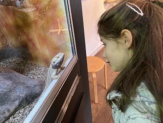 Klicke auf die Grafik für eine vergrößerte Ansicht

Name: B283A2E2-9850-40EC-BFA5-A861F061D1A1.jpeg
Ansichten: 356
Größe: 240,4 KB
ID: 435092