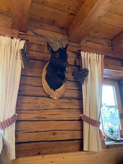 Klicke auf die Grafik für eine vergrößerte Ansicht

Name: IMG_6964.jpg
Ansichten: 351
Größe: 99,1 KB
ID: 436245