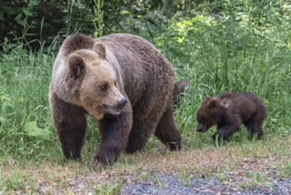 Klicke auf die Grafik für eine vergrößerte Ansicht

Name: d43cb6ef-01a1-4a5f-916a-0a6f3c8ae02e.jpg
Ansichten: 367
Größe: 33,1 KB
ID: 439124