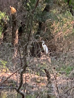 Klicke auf die Grafik für eine vergrößerte Ansicht

Name: IMG_1021.jpg
Ansichten: 361
Größe: 45,9 KB
ID: 439129