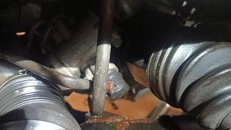 Klicke auf die Grafik für eine vergrößerte Ansicht  Name: IMG-20250326-WA0004.jpg Ansichten: 0 Größe: 119,1 KB ID: 440706