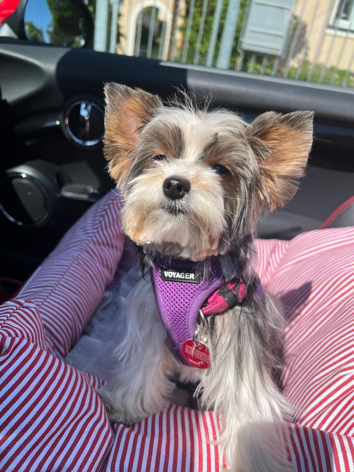 Klicke auf die Grafik für eine vergrößerte Ansicht

Name: 938c3073-9a44-4df5-b3c8-b6e530482947.jpg
Ansichten: 106
Größe: 496,1 KB
ID: 441677