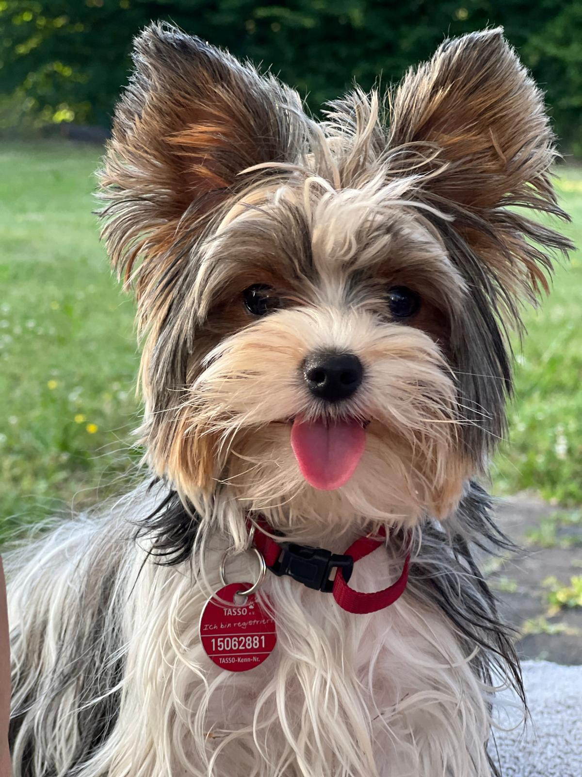 Klicke auf die Grafik für eine vergrößerte Ansicht

Name: 49f567eb-0434-4a46-a6de-b259cb701580.jpg
Ansichten: 105
Größe: 470,8 KB
ID: 441678